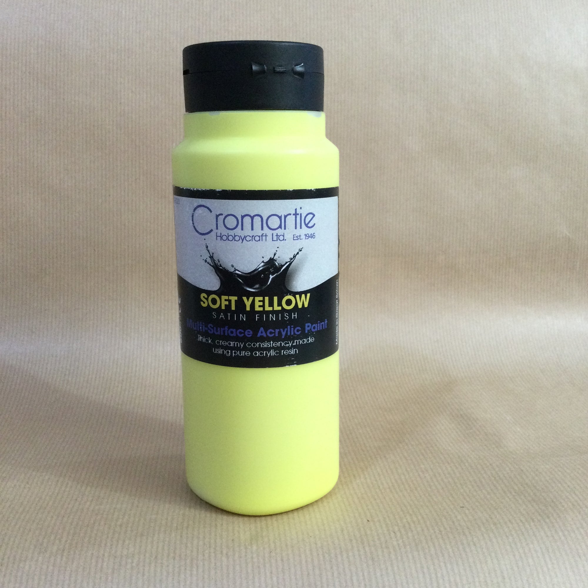 Large Acrylic Paint ~ Cromartie