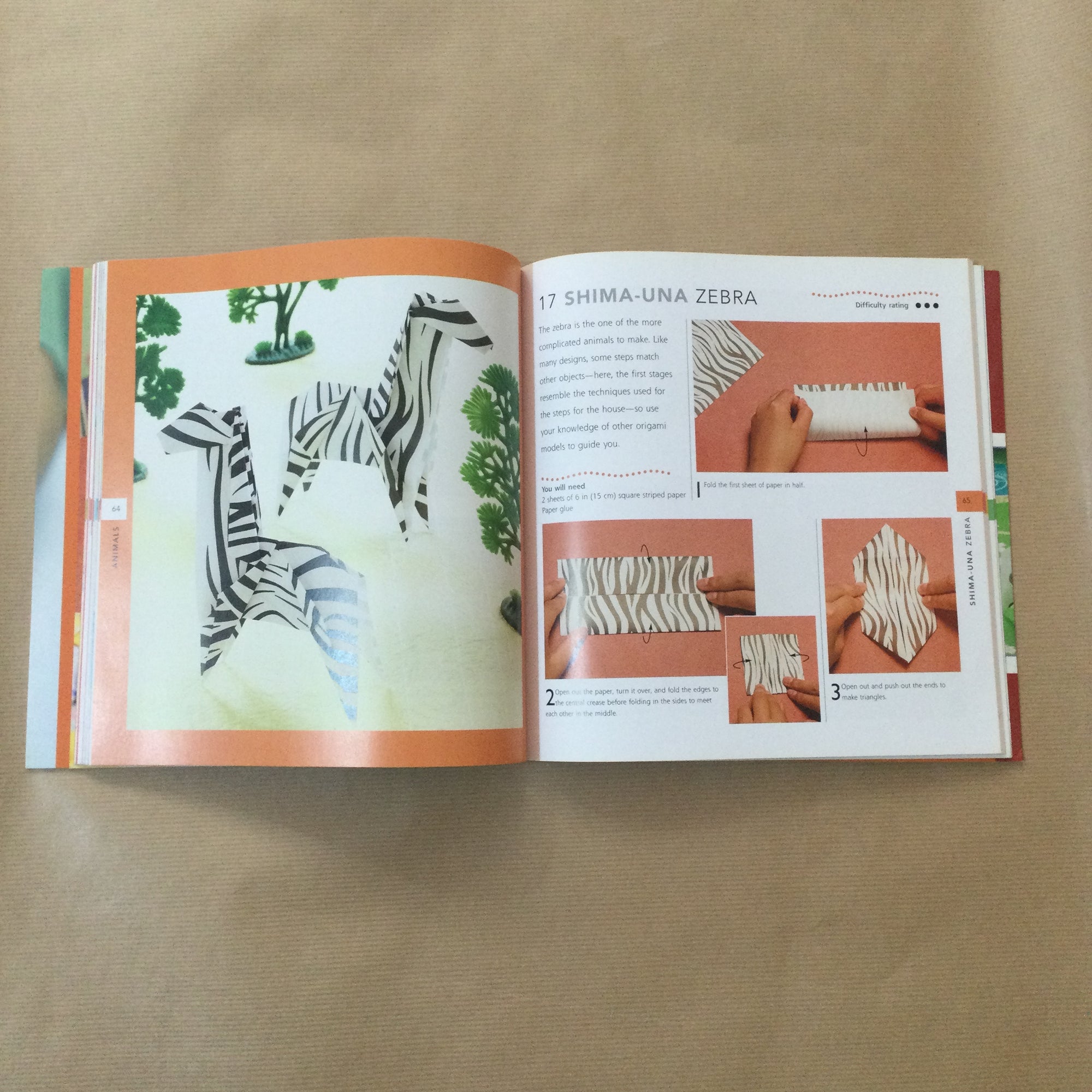 Origami for Children