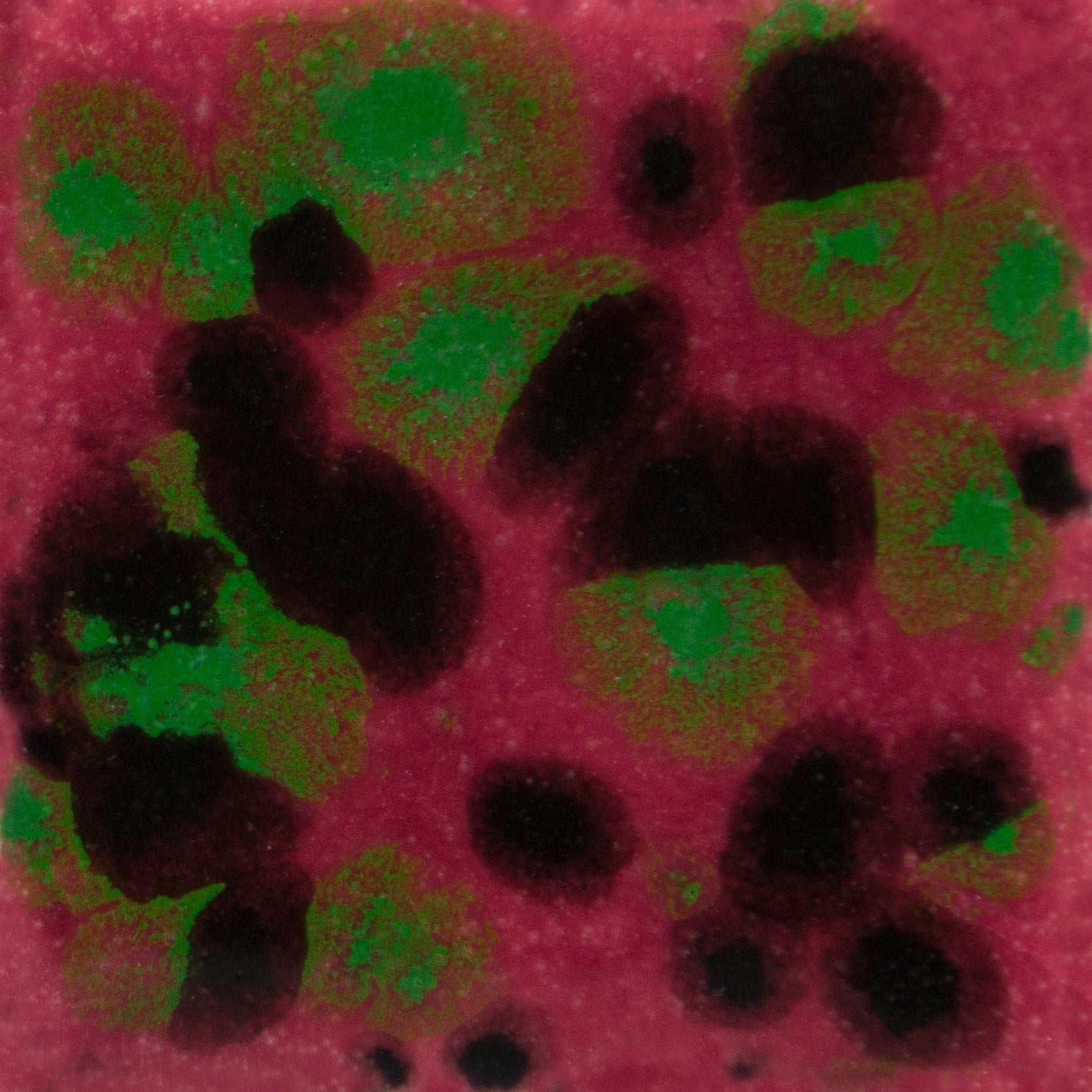 Mayco glazes - Jungle Gems Maroon Lagoon