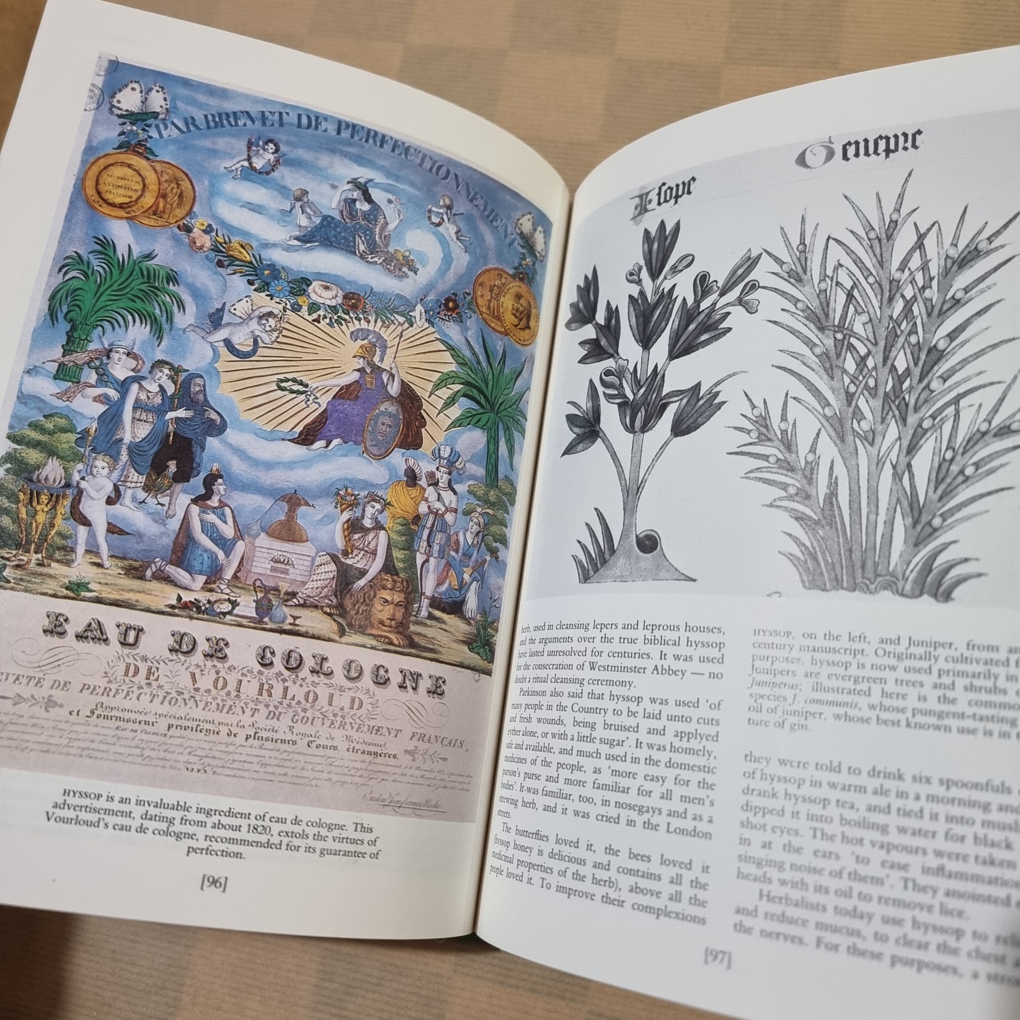 A Country Herbal book