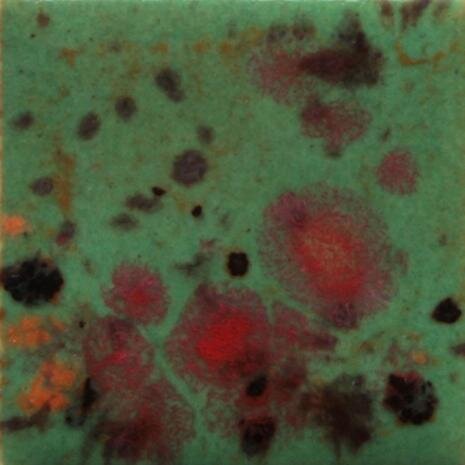 Mayco glaze - Jungle Gems Field and Flowers
