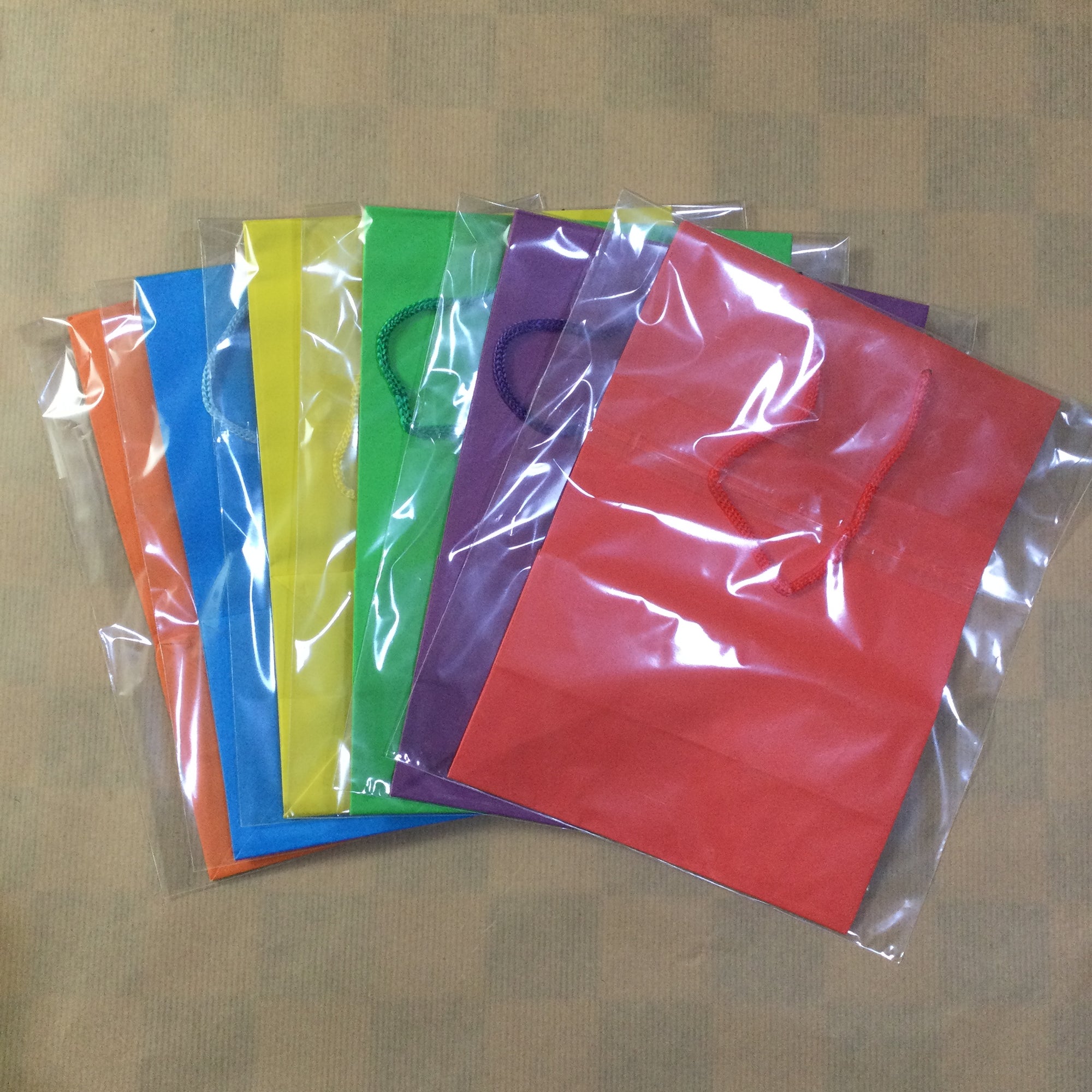 DIY Colour Paper Gift Bag
