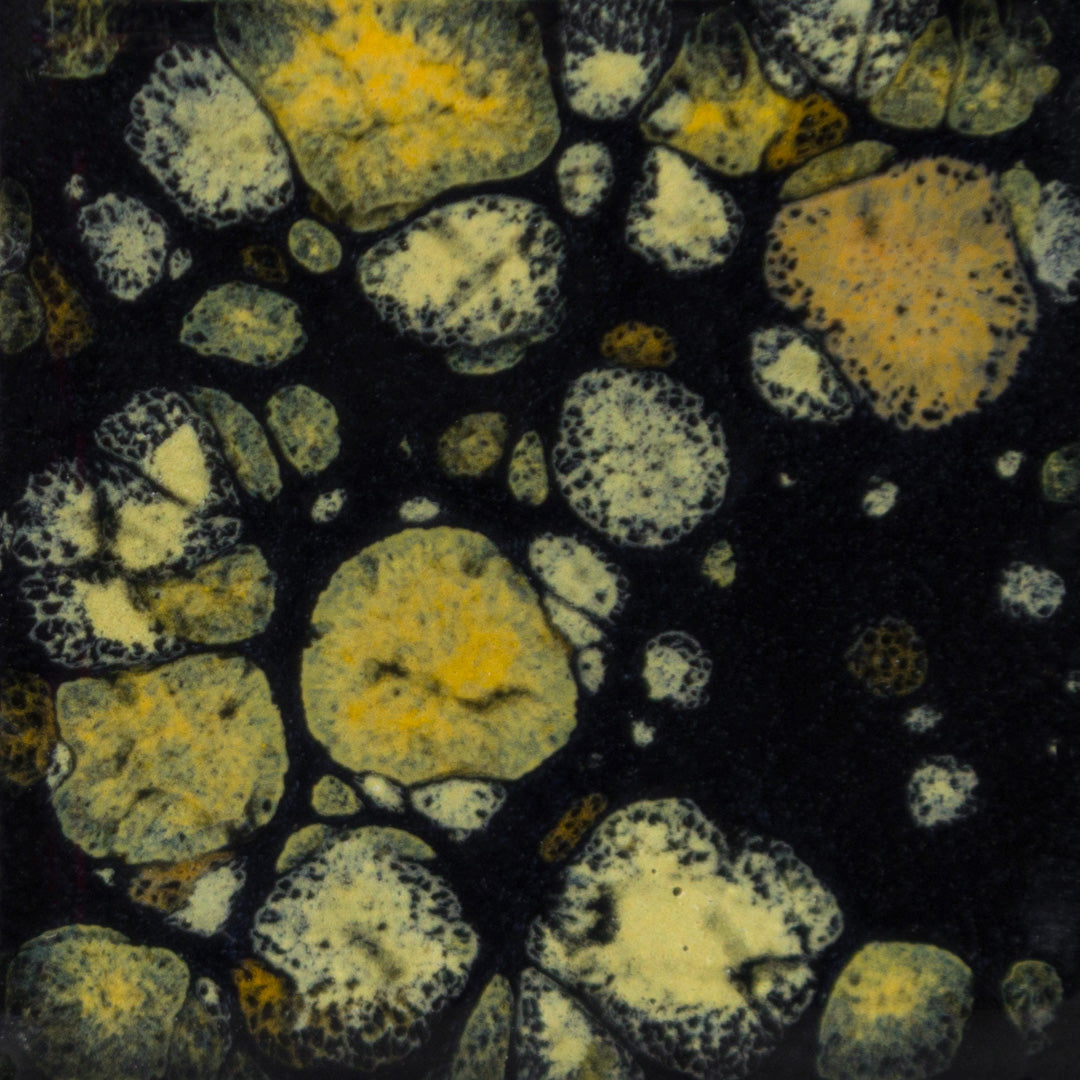 Mayco Glaze - Jungle Gems Black Iris