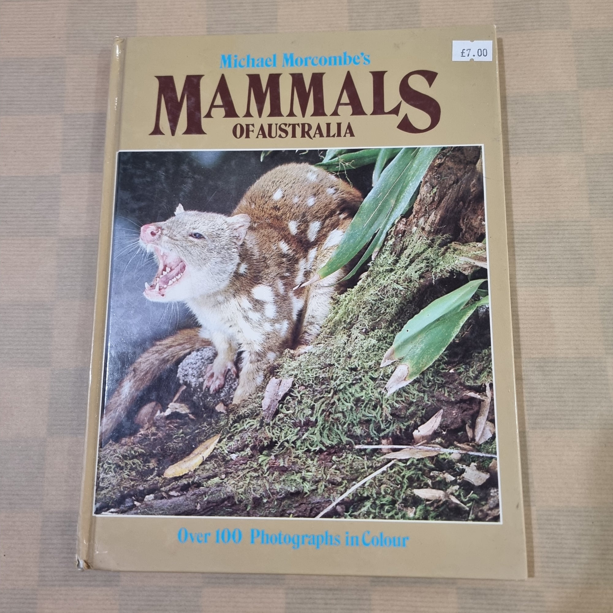 Mammals Of Australia